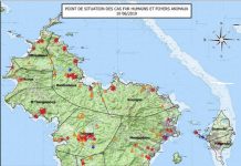Fièvre de la Vallée du Rift : stabilisation et prévention