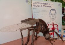 Recommandations aux voyageurs