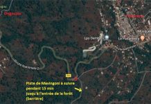 L’ONF propose une rando à Voundzé ce samedi en avant-goût de la Fête de la nature