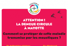 Dengue à Mayotte : le niveau d’alerte du plan arbovirose est déclenché