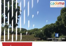 Réunions publiques à Dembéni la semaine prochaine