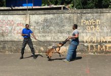 Emploi « les métiers de la sécurité recrutent en permanence »