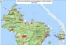 La fièvre de la Vallée du Rift en recul