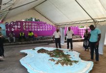 La population de Chiconi consultée demain et samedi