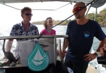 Baleines : le label anti-mises à l’eau fait son chemin