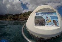 On a testé pour vous : le sentier sous-marin d’Acoua