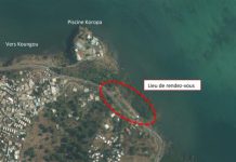 Nettoyage de mangrove ce samedi à Majicavo