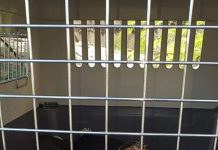 Un canard chez le médecin