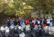Beaucoup d’initiatives de nettoyage lors du World Clean Up day