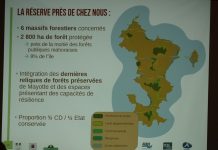 Une nouvelle réserve naturelle pour sauver ce qu’il reste de forêt primaire