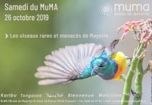 Samedi du MuMa : focus sur la préservation des espèces menacées