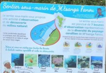 Sept communes mahoraises se partagent 16.000 euros pour l’environnement