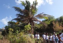 Grande première : 24 jeunes de Mayotte et de la région formés à l’encadrement de sport de nature