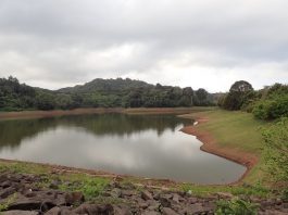 Agents du Sieam, Naturalistes : la guerre de l’eau se poursuit