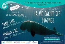 Votre agenda (incertain) du week-end