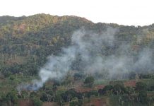 15 ans de prison encourus pour un feu de forêt