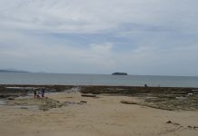 Les voulés en famille privilégiés pour la Saint-Sylvestre