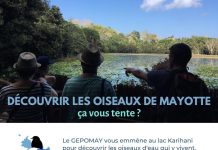 Vos sorties du week-end