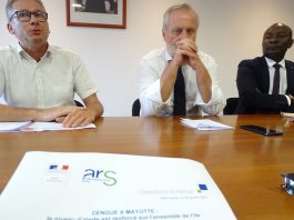 Les cas de dengue doublent en une semaine