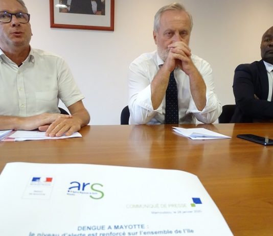 Les cas de dengue doublent en une semaine