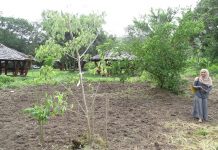 Petite Terre à la « reconquête de la biodiversité »