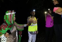 A la découverte des caméléons et de la vie nocturne