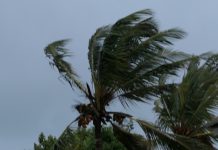 Maintien de la vigilance Fortes pluies, levée de la vigilance Vent fort à 22h ce mercredi