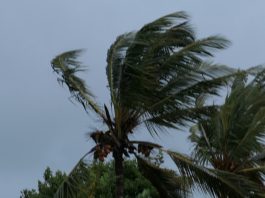Maintien de la vigilance Fortes pluies, levée de la vigilance Vent fort à 22h ce mercredi
