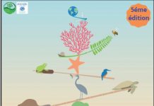 La journée mondiale des zones humides donne le top départ du mois sur le même thème