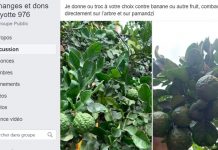 Un groupe Facebook prône la gratuité à Mayotte
