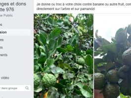 Un groupe Facebook prône la gratuité à Mayotte