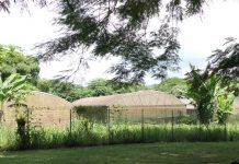 Propriétaires agricoles, des baux pour réveiller vos terres