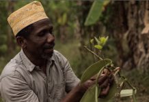 La qualité de la vanille de Mayotte reconnue au Concours général agricole à Paris