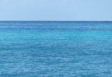 Sciences et poésie : la mer a des reflets changeants à l’infini