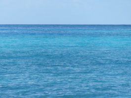 Sciences et poésie : la mer a des reflets changeants à l’infini