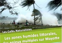 Conférence sur le rôle des zones humides
