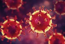 Covid-19 : Avec 79 cas en 48h, Mayotte passe en phase 3 de l’épidémie