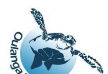 ASSOCIATION OULANGA NA NYAMBA