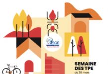 5ème semaine des TPE : « ces fourmis créatrices de solutions locales »