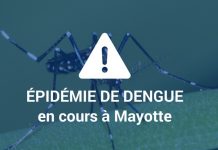 A ce jour, la dengue plus nocive que le virus Corona à Mayotte