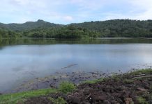 La retenue collinaire de Dzoumogné gonflée à bloc