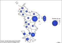 Covid-19 : 171 cas déclarés à Mayotte, dont 22 guéris