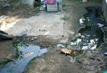 Le quotidien à proximité des égouts des habitants d’un quartier SIM à Dzaoudzi