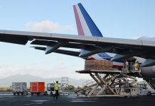 « Nous ne voyons pas de signes d’aggravation rapide de la situation », indique Dominique Voynet Avion présidentiel, GLAM, tests, automat, respirateurs, Mayotte