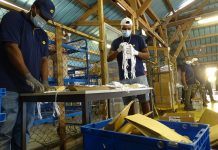 Des masques gratuits pour chaque habitant de Mayotte