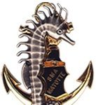 RÉGIMENT DU SERVICE MILITAIRE ADAPTÉ DE MAYOTTE (RSMA)