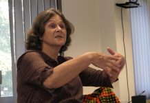 Covid-19 : la couleur orange a pâli à Mayotte Dominique Voynet, Covid-19, Mayotte