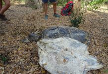 Braconnage en direct au cours d’un bivouac des Naturalistes