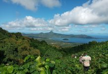 Une lutte contre les espèces envahissantes dans la forêt de Benara