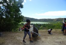 Une randonnée-plogging au lac Dziani